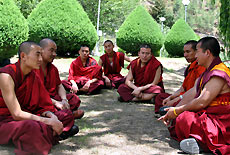 A group of Bhuddist monks